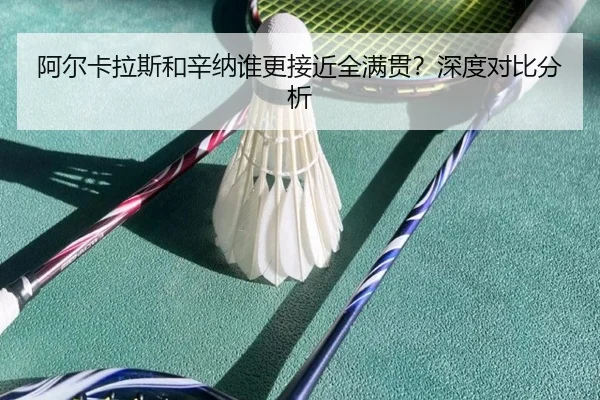阿尔卡拉斯和辛纳谁更接近全满贯？深度对比分析